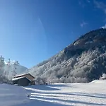 Klausbruecke Mit Bergblick & Infrarot Sauna * Mellau