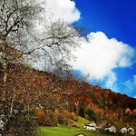 Lejlighed Klausbruecke Mit Bergblick & Infrarot Sauna *