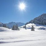 Lägenhet Klausbruecke Mit Bergblick & Infrarot Sauna *