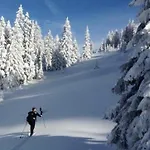 Lägenhet Klausbruecke Mit Bergblick & Infrarot Sauna Mellau