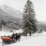 Lägenhet Klausbruecke Mit Bergblick & Infrarot Sauna Mellau