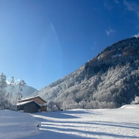 Klausbruecke Mit Bergblick & Infrarot Sauna * Mellau