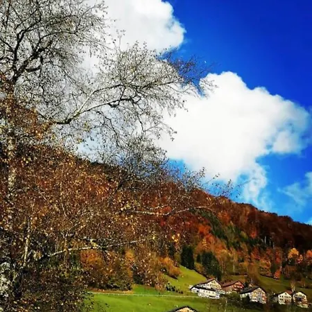 Apartment Klausbruecke *