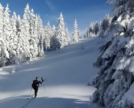 Apartment Klausbruecke Mellau