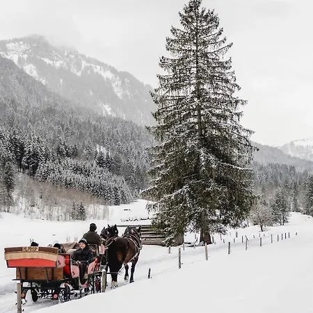 Apartment Klausbruecke Mellau