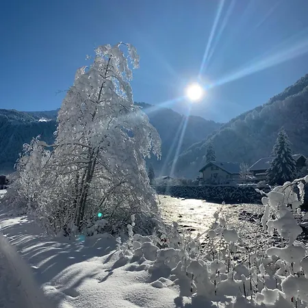Klausbruecke Mit Bergblick & Infrarot Sauna Mellau