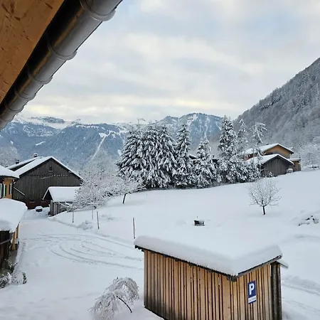 Klausbruecke Mit Stellplatz & Infrarot Sauna Appartement Mellau