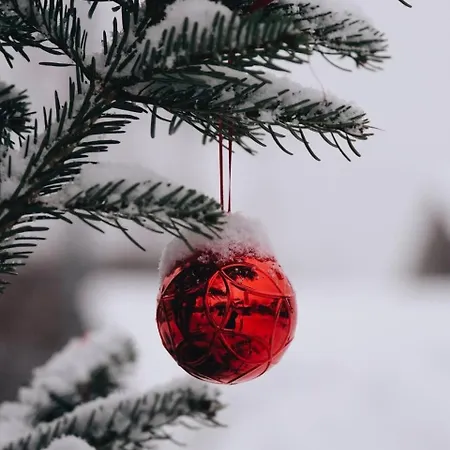 Klausbruecke Apartment