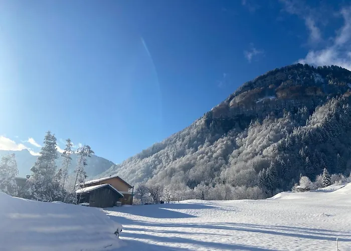 Klausbruecke Mit Stellplatz & Infrarot Sauna * Mellau