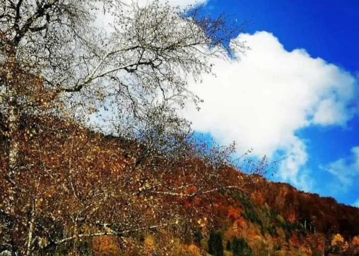 Appartement Klausbruecke Mit Stellplatz & Infrarot Sauna *