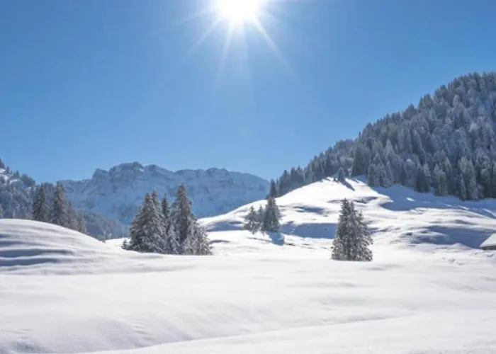 Appartement Klausbruecke Mit Stellplatz & Infrarot Sauna *