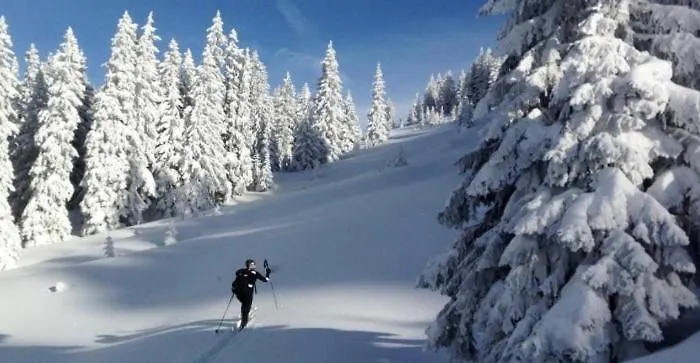 Appartement Klausbruecke Mit Stellplatz & Infrarot Sauna Mellau