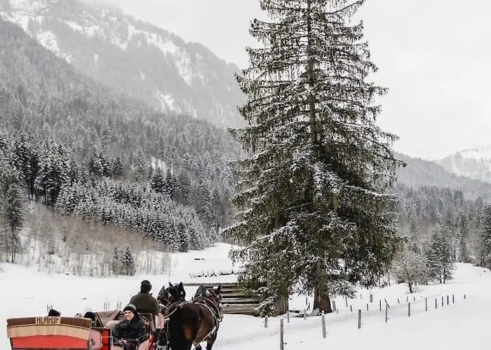 Appartement Klausbruecke Mit Stellplatz & Infrarot Sauna Mellau