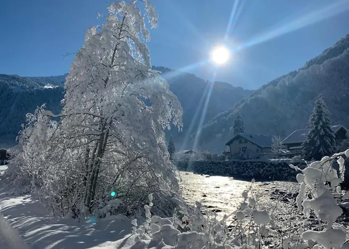 Klausbruecke Mit Stellplatz & Infrarot Sauna Mellau
