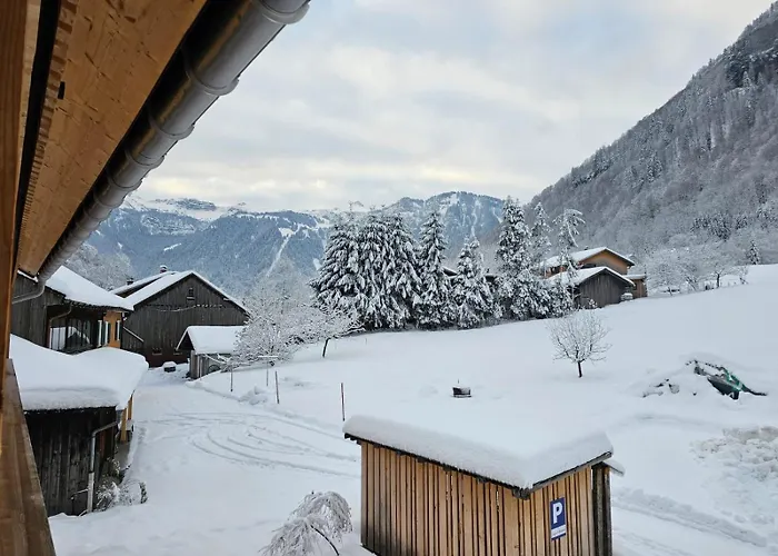 Klausbruecke Mit Stellplatz & Infrarot Sauna Appartement Mellau