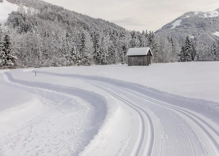 Klausbruecke Mit Stellplatz & Infrarot Sauna