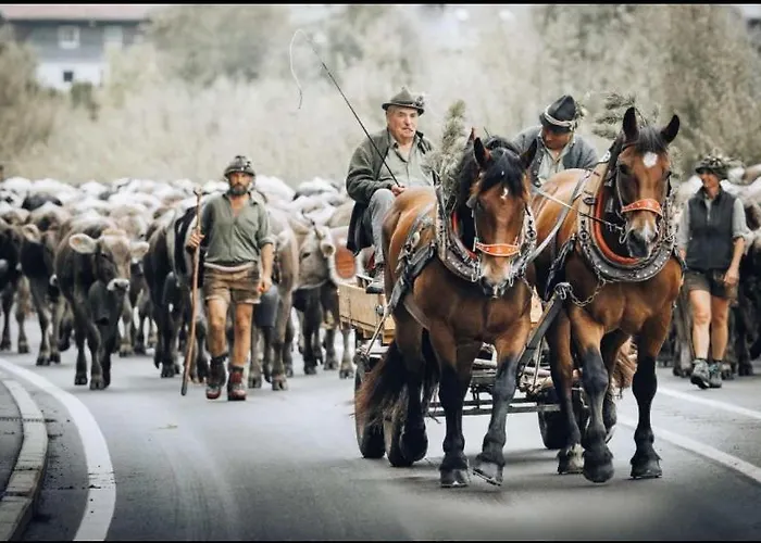 Appartement Klausbruecke Mit Stellplatz & Infrarot Sauna *