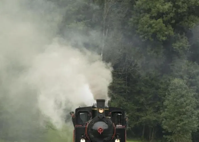 Klausbruecke Mit Stellplatz & Infrarot Sauna Appartement Mellau