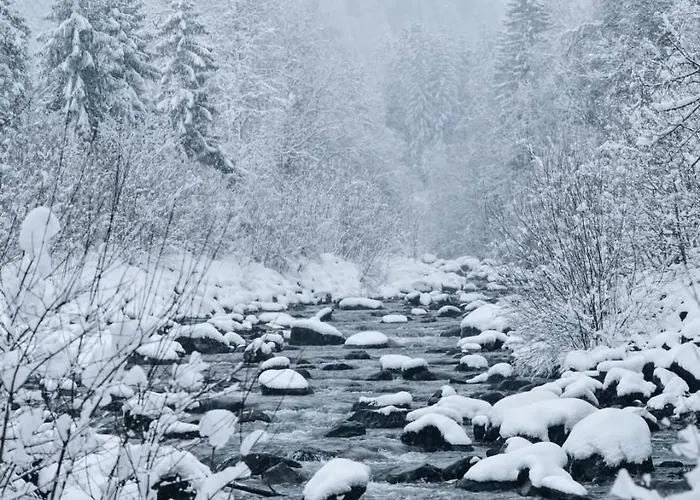 Klausbruecke Mit Stellplatz & Infrarot Sauna