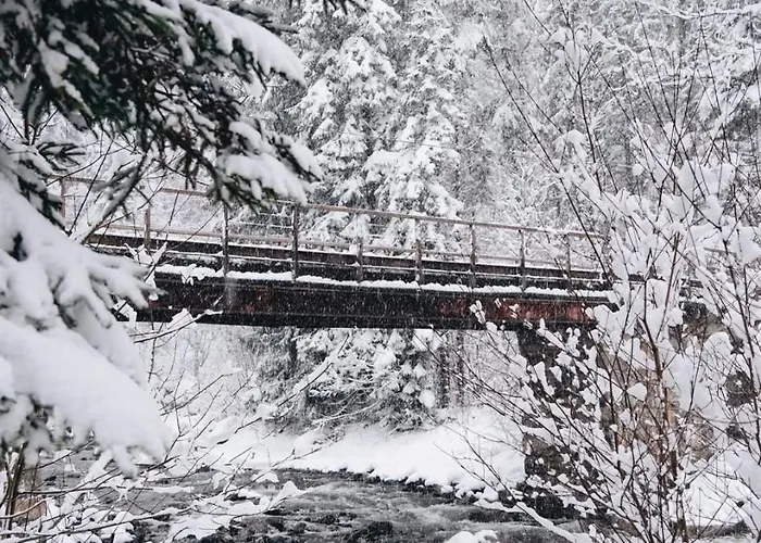 Klausbruecke Mit Stellplatz & Infrarot Sauna Appartement Mellau